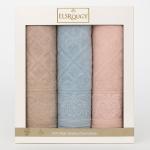 فوط نص بشكير السروجي