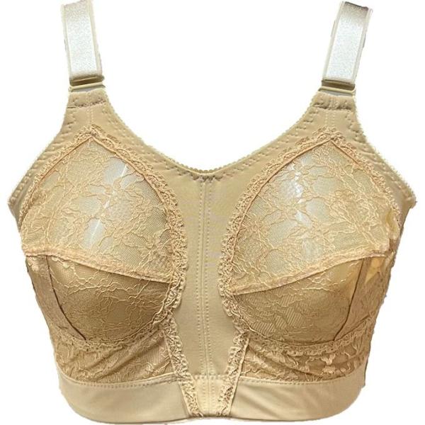 Lasso Bask حماله صدر