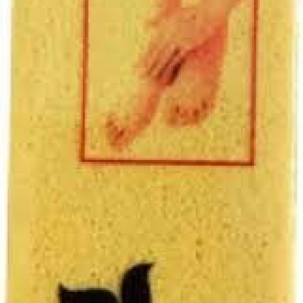 حجر قدم خفاف الوان